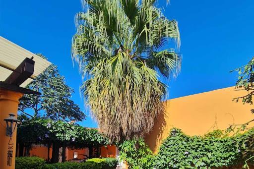 Hostal Paradiso Асунсион Екстериор снимка